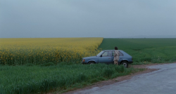 cinelisted:  La délicatesse (2011) 