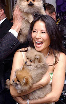 freckledhoney:  Lucy holding tiny dogs and that one time a weird old dude tried putting one on her head (forreal, Google image search “Lucy Liu”, “Harrods” and “dogs”) 