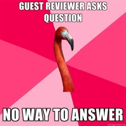 fuckyeahfanficflamingo:  [GUEST REVIEWER ASKS QUESTION (Fanfic Flamingo) NO WAY TO ANSWER] * Why do you do this to me, FF.net reviewers? I want to answer your feedback and questions, but I can’t if you don’t sign in (and enable PMs)!   this drives