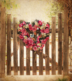 lillypotpie:  garden gate and pop of pink by champbass2 on Flickr.  Love dwells within