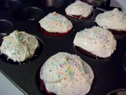 Cupcakes I made :3