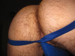 jockstrap-otter:  jockstrap-otter-deactivated2012: I am a hairy ass dude that LOVES being rimmed and rimming, comment if you want to eat my ass…….  I would definitely eat your ass   WOOF SIT ON MY FACE