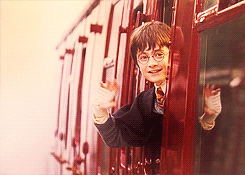 cobie-smulders:  Harry Potter Meme ϟ 7 characters↳ {6/7} Harry Potter 