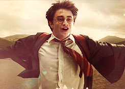 cobie-smulders:  Harry Potter Meme ϟ 7 characters↳ {6/7} Harry Potter 