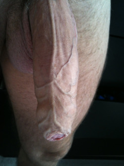thewolfblack:  meaty and veiny uncut sausage