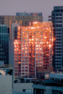 “when the sun goes down the light reflects off the glass and it looks like the buildings are on fire”