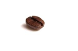 requisiteamountoflesbians:  This is a coffee bean. And it is on your dash.