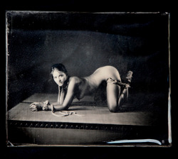 mjranum:   The Ideal (Model: Meagan Sample)11x14” ambrotype on clear glass.  