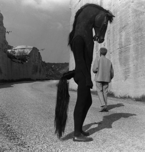 Antique porno black and vhite fillms with horse