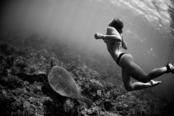 Aquaticwonder:  Under The Ocean  En Esta Foto&Amp;Hellip; Están Las Tres Cosas Que