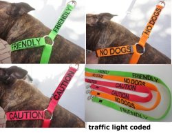catbuttcat:hopefulveterinarian:  Excellent alternative to the yellow ribbon concept. Check them out here: Friendly Dog Collars  I just love these so much. 
