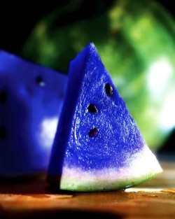 coolstoryrob:        meeeeeeeeeeeeeeeeeeerlin:  serionsly:  voyagevisuelle:  This a Moonmelon, scientifically knows as asidus. This fruit grows in some parts of Japan, and is known for its vibrant blue color. What you probably don’t know about this