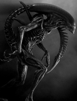 xenomorph-alien:  Xenomorph (Alien) 