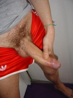 Sporty Cock