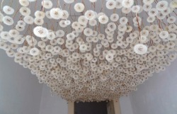  Regine Ramseier, a German artist, had the great idea to created a ‘Dandelion Ceiling.’ 2000 dandelion flowers were treated and sprayed with a gentle adhesive to fix them. The dandelions were then transported by car to a little white room where they
