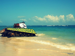 carib-n:  Sunshine Tank by Playerest on Flickr.
