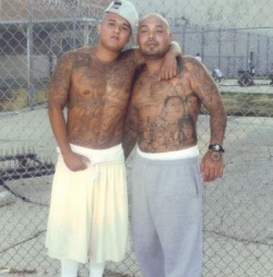 manlovr:  Look where homeboy’s hand is? He is claiming that ass in this pic! mouseylatino:  jailbird homeboys  