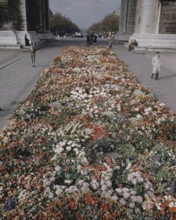 Flowers lining the street for Christian Dior’s funeral, 1957 by Loomis Dean 