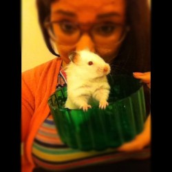 My lil nigga 🐹 #hamster  (Taken with Instagram)