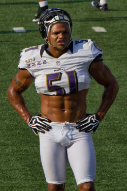 Baltimore Ravens Brendon Ayanbadejo. Spoke out against the anti-marriage amendment in MD.