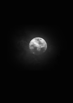 la luna&hellip;. piena per gli amanti &hellip; porta piacere voluttuoso..e immenso godimento&hellip; urla il tuo &hellip;. thewolf 