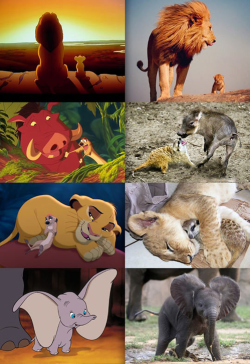 tastefullyoffensive:  Disney Animals in Real