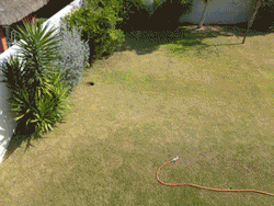 Somebody posted a timelapse of their construction of a swimming pool. Here&rsquo;s a gif of that.
