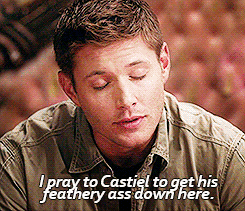 mishadmitrikrushniccollins:  theoriginalspike:  the-castiel-winchester:  tranendrusen:  themanwhowouldbeoverlord:  THE LITTLE SMILE IN THE FIRST GIF SLAYS ME  Cas says hello like “did you just call my boyfriend an idiot?”  #Dean’s eyes in the third