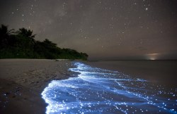 Doug Perrine captured these stunning photographs in the Maldives. The particular location (Vaadhoo Island) has a concentrated population of bioluminescent phytoplankton. Bioluminescence is a natural chemical reaction which occurs when a micro-organism