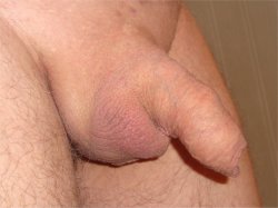 shaved balls, tiny cock