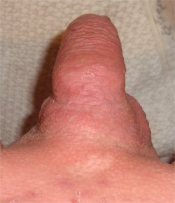 shaved tiny cock upview