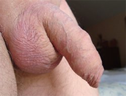 shaved balls tiny cock