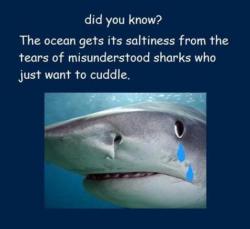 donna-belle:  C’mon…cuddle the sharks so they won’t cry anymore. :D 