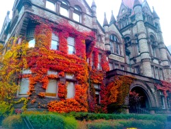 lustingmoon:  grotesquery:  creepsylvania:  I took this picture on campus (UofT) today. Sooo pretty. I was just standing there looking at the colours for so long.  Omg. Absolutely gorgeous.   Wow 