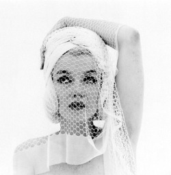 missingmarilyn:  Marilyn Monroe photographed
