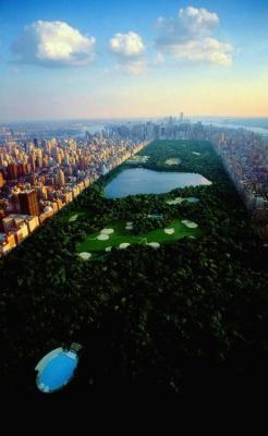 fuckyeahgreatplays:  Fun fact: The orchard in The Cherry Orchard is nearly 3x the size of Central Park (Lopahkin estimates it at about 2500 acres; Central Park is 843 acres).