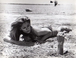 Susanne Benton dans Cover me babe, 1970.