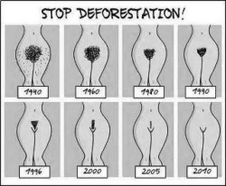 - STOP DEFORESTATION! - I love 80&rsquo;s and 90&rsquo;s