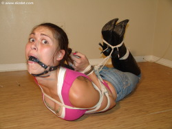 gaggedslave:   Gagged Slaves  The best in