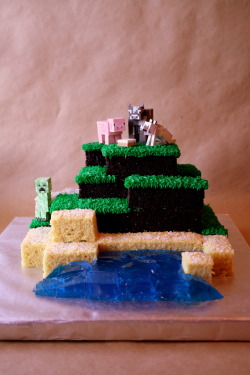 brittitittitti:  I made a Minecraft cake. 
