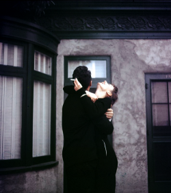tarimbado:  Dean Martin and Audrey Hepburn share a laugh on the set of Sabrina, 1954. priceless 