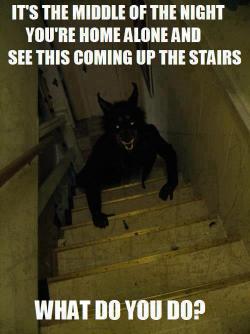 dark-hooves:  furrydragon127:  the-fury-of-a-time-lord:  scary-halloween-url:  50shadesofgamkar:    This is literally my favorite post of all time.  I CANNOT FUCKING BREEEEEAAAAAATHE  Well I would ither jump from the top of the stairs and land on it or