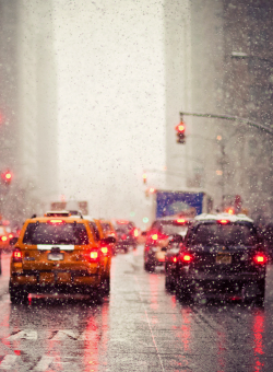 hellanne:  NYC Snowstorm (by navid j)