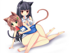 Cat girls… Making my life awesome