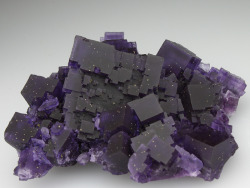sushinfood:    Fluorite  it’s like a chunk of the night sky  The Minecraft Sky is falling. 