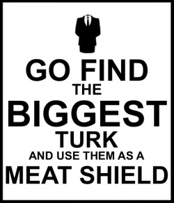 turk-tips:  Turk Style Storm Survival 101  or 101 Uses For Rude of the Turks 