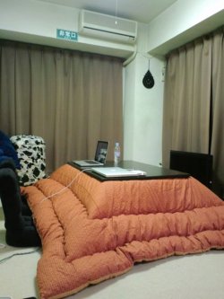 cyndal-:  This is a photo of the best and worst purchase I have ever made in my life. It is a kotatsu. For those of you unfamiliar, a kotatsu is a Japanese heated table. The top of the table comes off, you put a blanket on in the cold seasons, and then