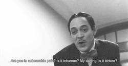 koi-fished:  vixensregretnothing:  God, these two.  Where is my Gomez Addams? 