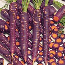 Purple Haze carrots &hellip; yep, they’re real &hellip; grown from heritage seeds!