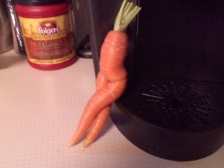lightofmeridian:  MY MOM BROUGHT THIS FUCKING CARROT HOME FROM THE FARMERS MARKET AND IM FUCKIN SOOBBING I CAN NT  sexy carrot legsssssssssss, hehehe 